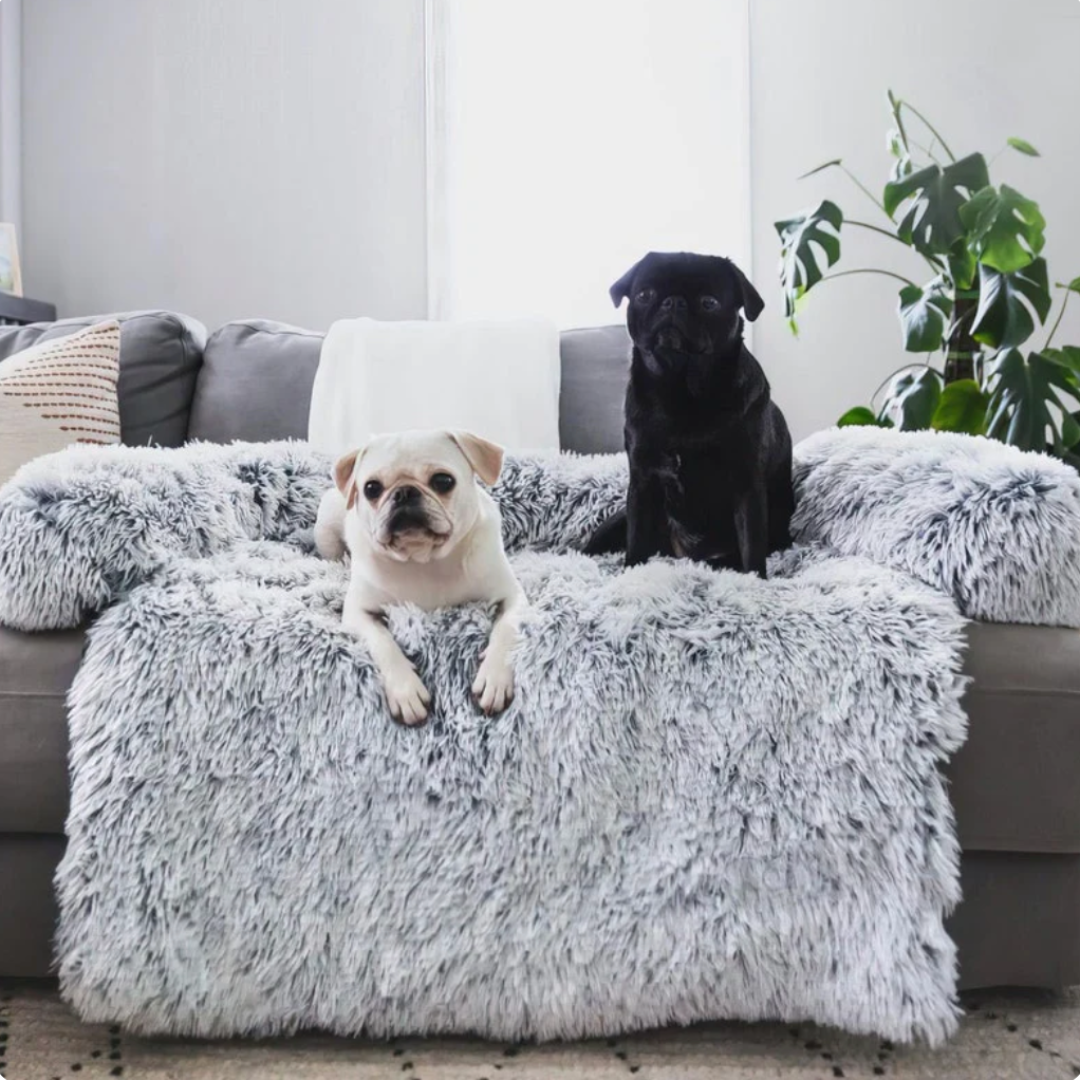 Dog sleeping soundly on a waterproof pet protector blanket on a couch