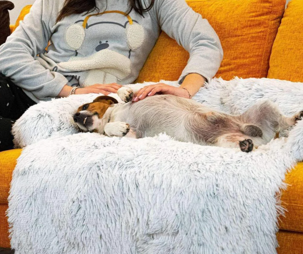 Washable hypoallergenic dog blanket as a furniture cover, cozy pet comfort