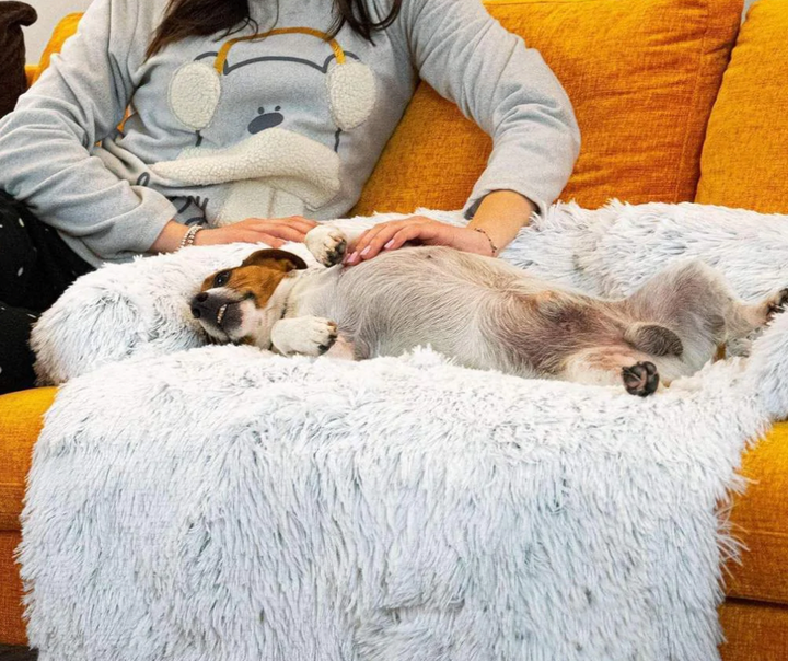 Washable hypoallergenic dog blanket as a furniture cover, cozy pet comfort