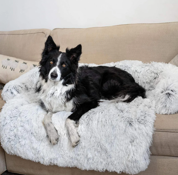 Stylish pet furniture cover for dogs, a plaid waterproof blanket blending with home decor