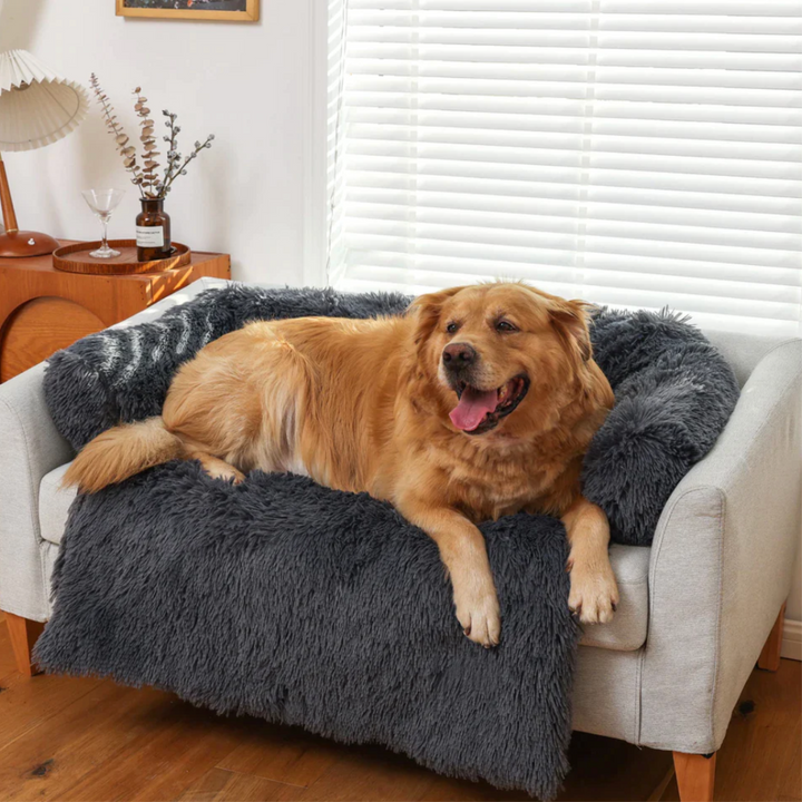 Full view of a living room sofa covered with a waterproof dog blanket for protection