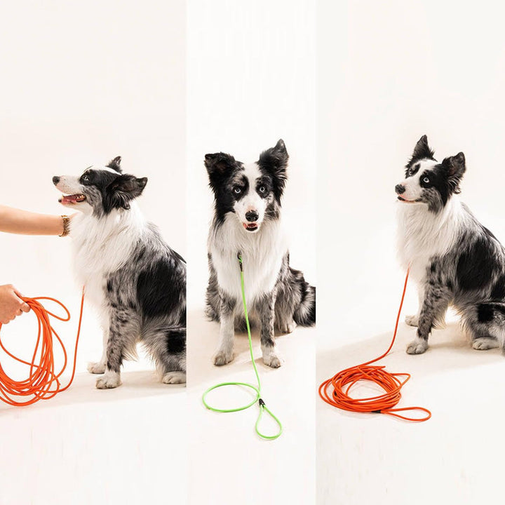 Blue waterproof PVC dogleash, odor-resistant and durable, designed for strong dogs & any weather.