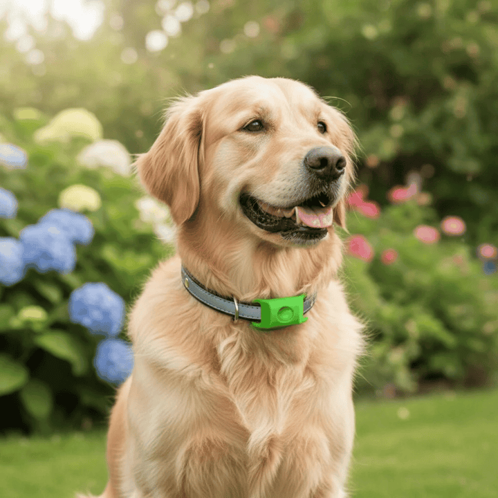 Close-up of a waterproof pet collar, designed for flea and tick prevention for both canine and feline
