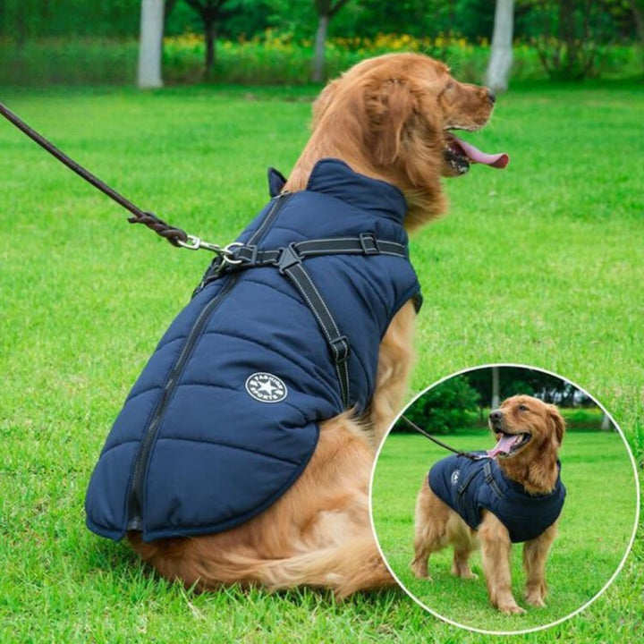 Waterproof winter dog coat with integrated harness for warmth & security on cold outdoor adventures.