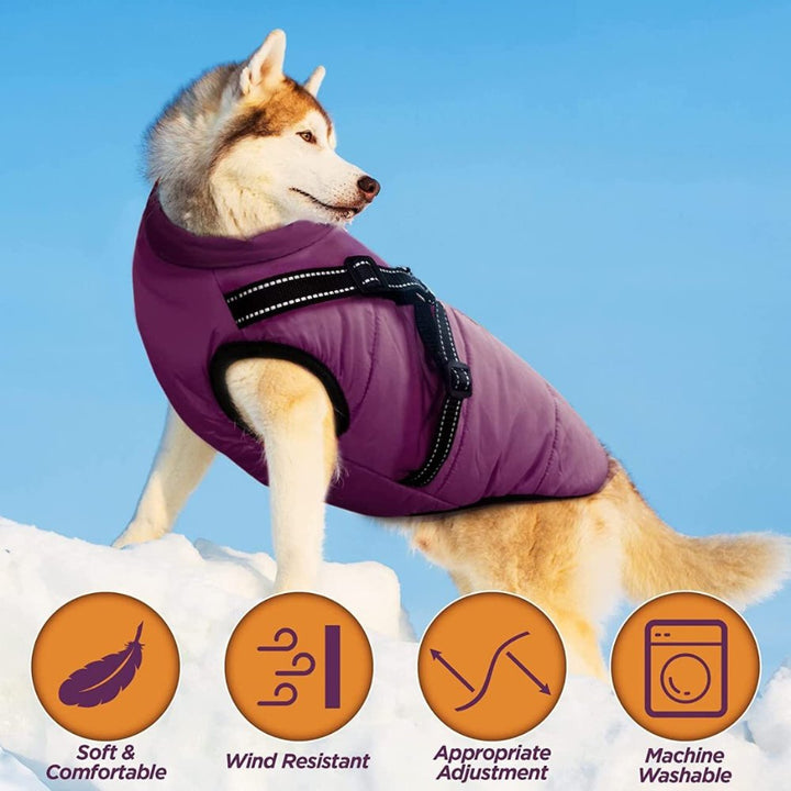 Warm waterproof dog jacket for winter. Ideal outdoor pet apparel with built-in harness for cold weather.