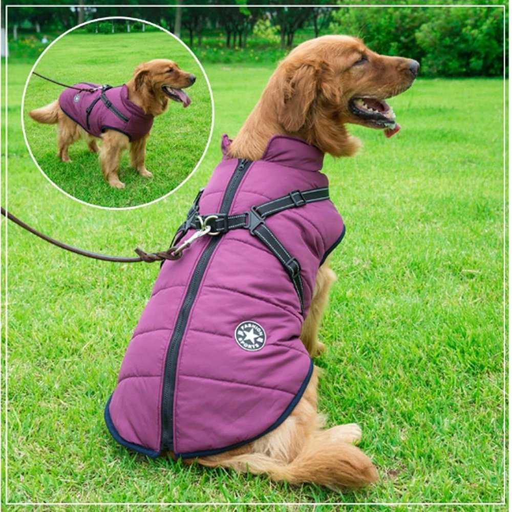 Durable waterproof dog rain coat with integrated harness, perfect for snowy, rainy, or cold weather walks.