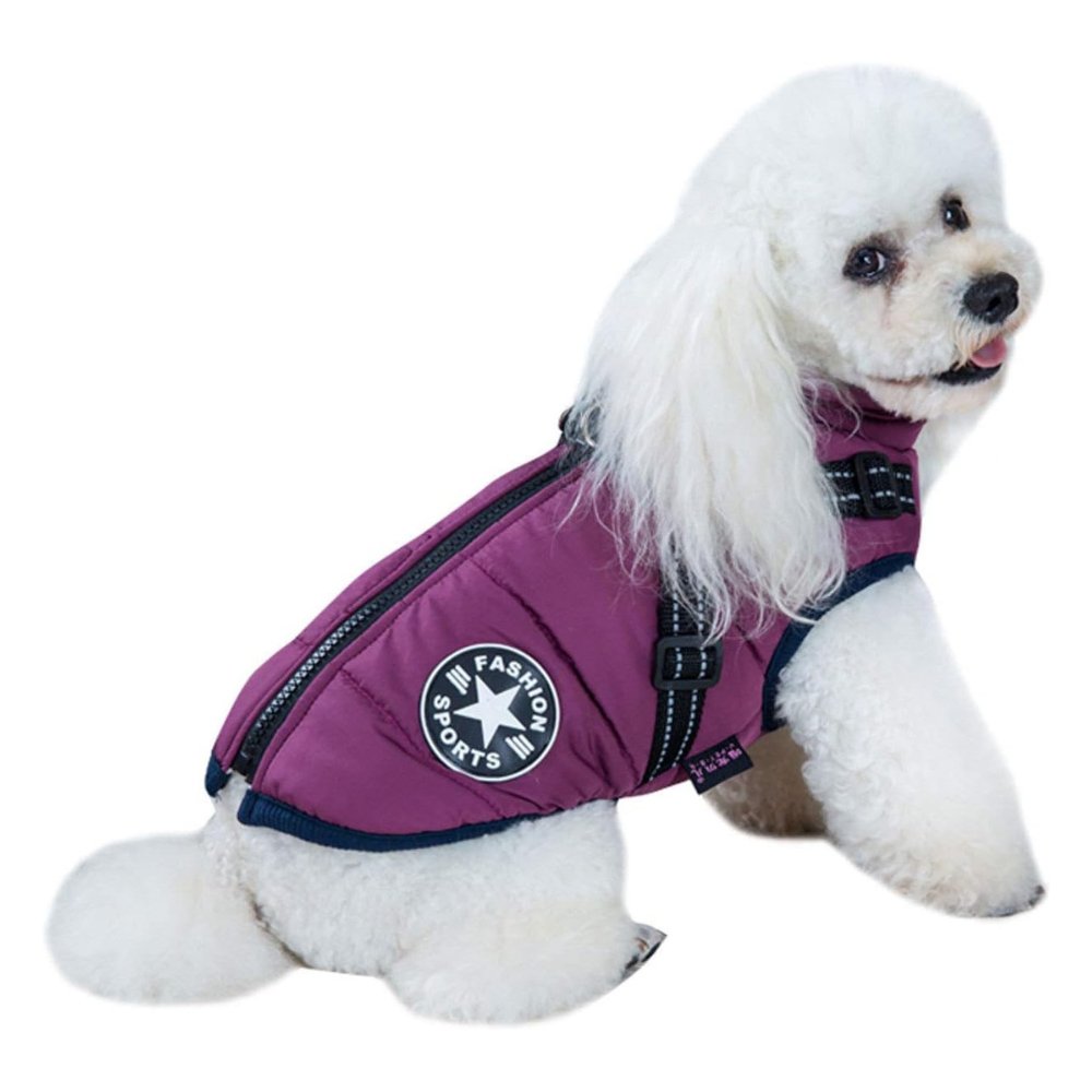 Essential cold weather dog apparel. A waterproof dog coat with integrated harness for active dogs.