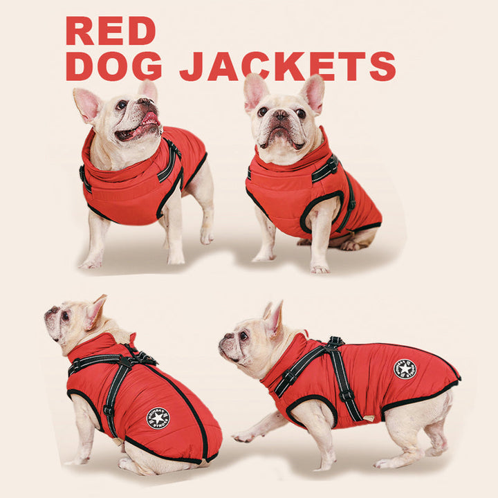 Blue waterproof dog jacket with integrated harness, ideal for winter walks, cozy fleece lining