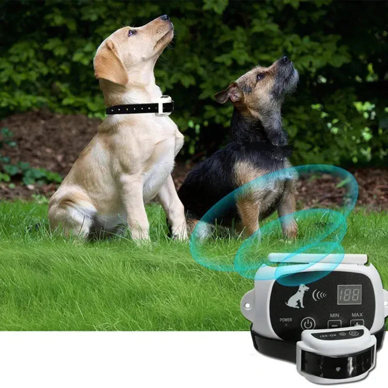 Close-up of waterproof wireless dog training collar on a dog, pet safety