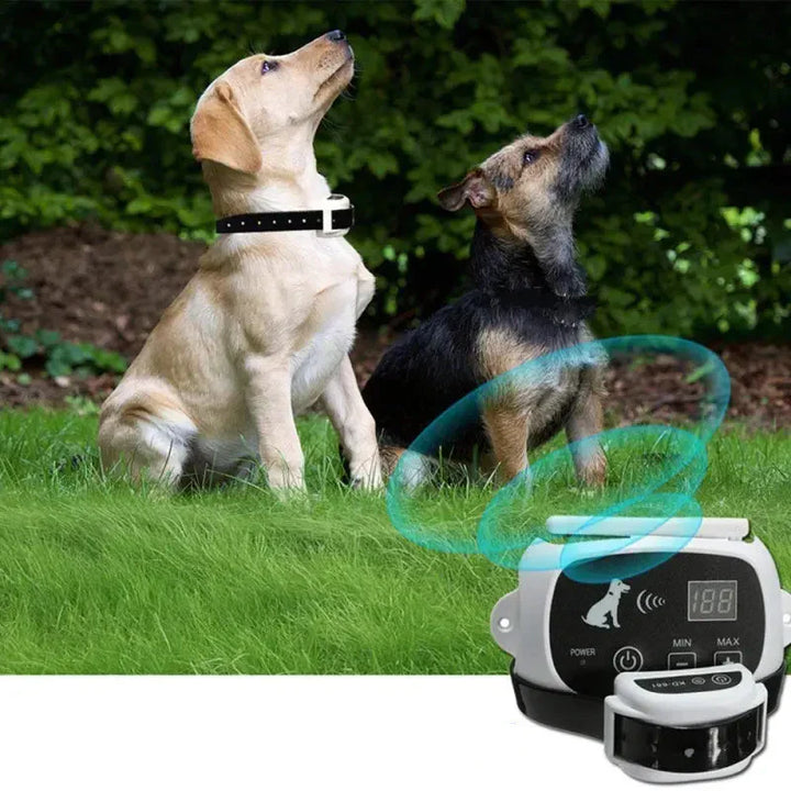 Close-up of waterproof wireless dog training collar on a dog, pet safety