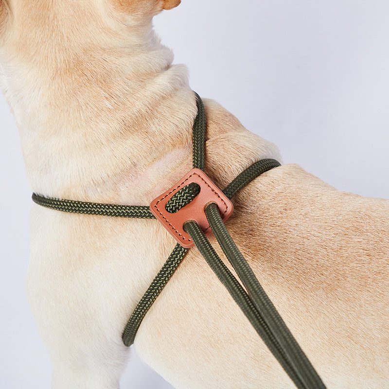Unisex black nylon dog training leash, 6ft, with durable clip. Ideal for obedience.