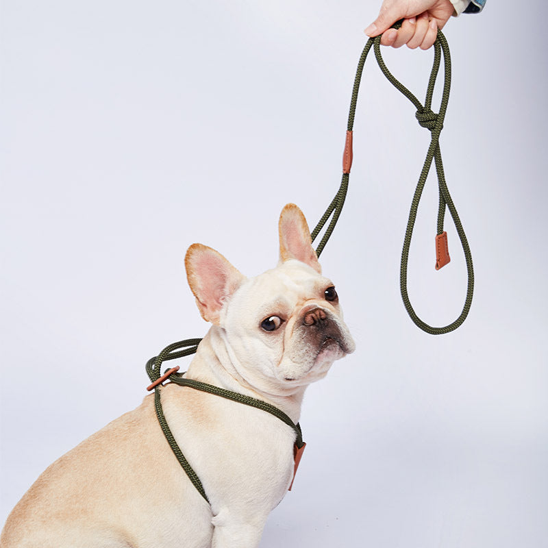 Lightweight weatherproof blue nylon dog leash, perfect for outdoor adventures and training.