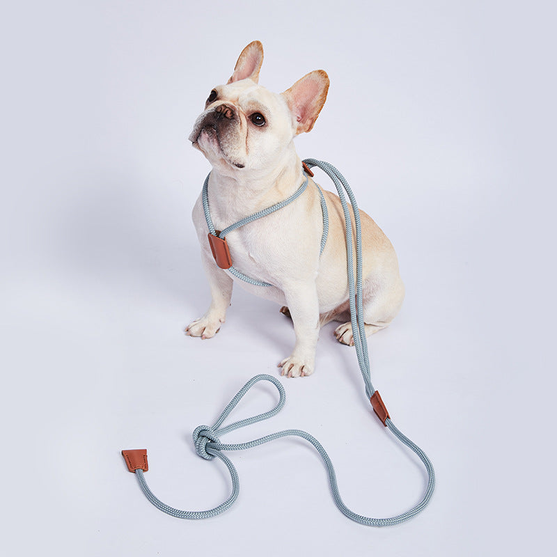 Green durable nylon dog leash for training and outdoor use, featuring strong metal clasp.