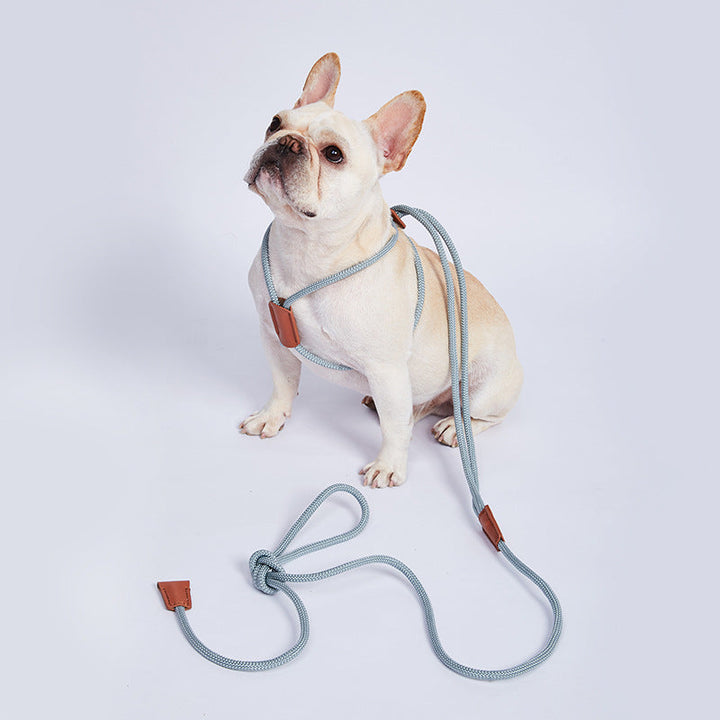 Green durable nylon dog leash for training and outdoor use, featuring strong metal clasp.