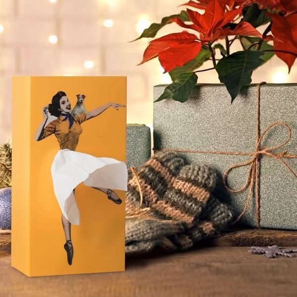 Whimsical plastic tissue box holder, a playful decorative home accessory for living rooms and bedrooms.