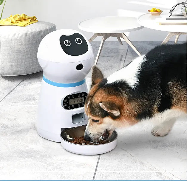 Modern white automatic pet food dispenser, ideal for reliable and timely dog feeding