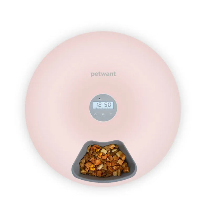Convenient automatic pet feeder, white, digital settings for small to large pets