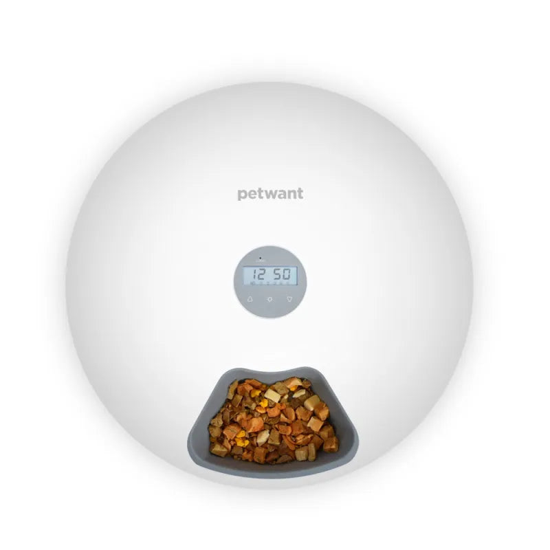 White digital pet food dispenser, automatic, perfect for busy pet owners