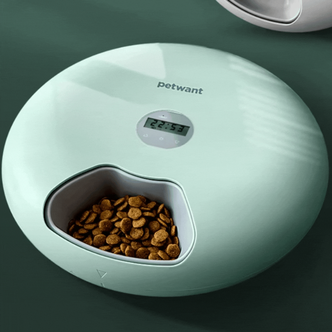 White automatic pet bowl with digital timer, ensures fresh food for pets