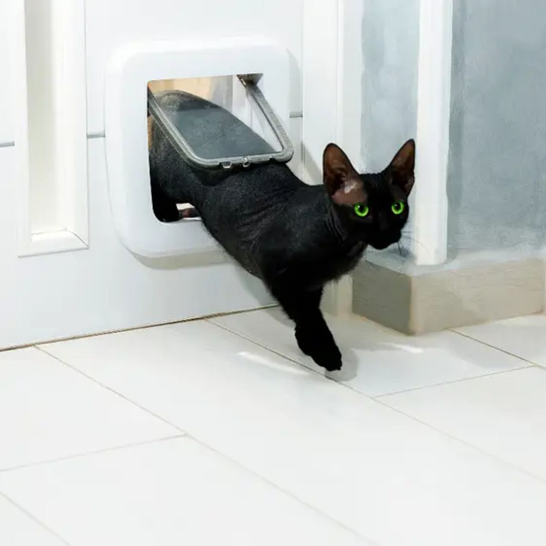 White cat door with 4-way lock, perfect for indoor outdoor feline access, door mounted