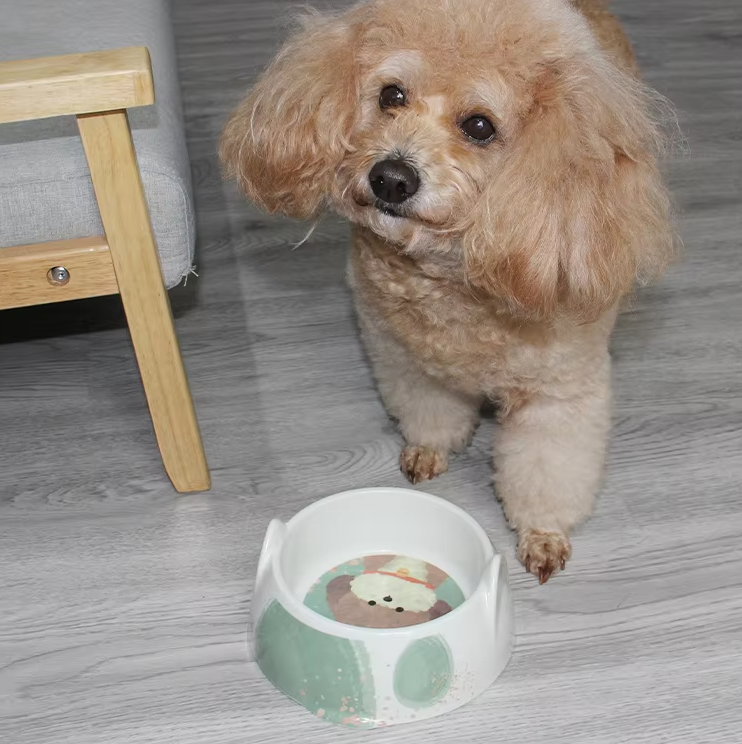 White ceramic pet bowl with playful dog face design, perfect for food or water. Durable and easy to clean.