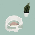 Design B