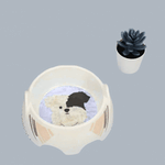 Design D