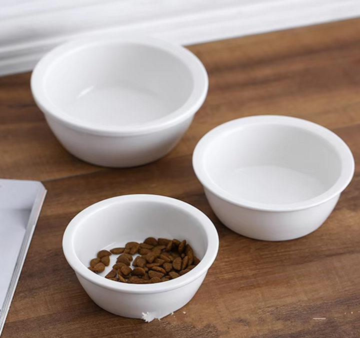 Simple white ceramic pet feeding bowl, a sturdy and clean option for pet supplies.
