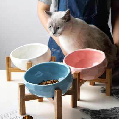 Hygienic ceramic dog bowl with a wide, whisker-friendly design for easy eating