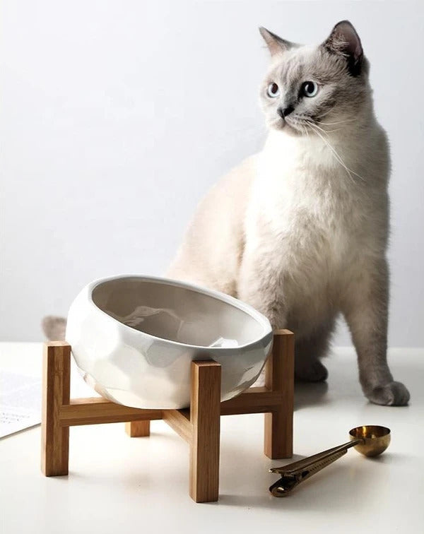 Elegant white ceramic cat bowl, easy to clean, perfect for modern home decor