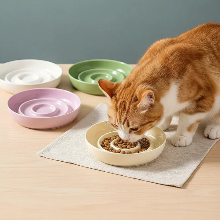 Pet slow feeder bowl in white ceramic, ideal for both cats and dogs