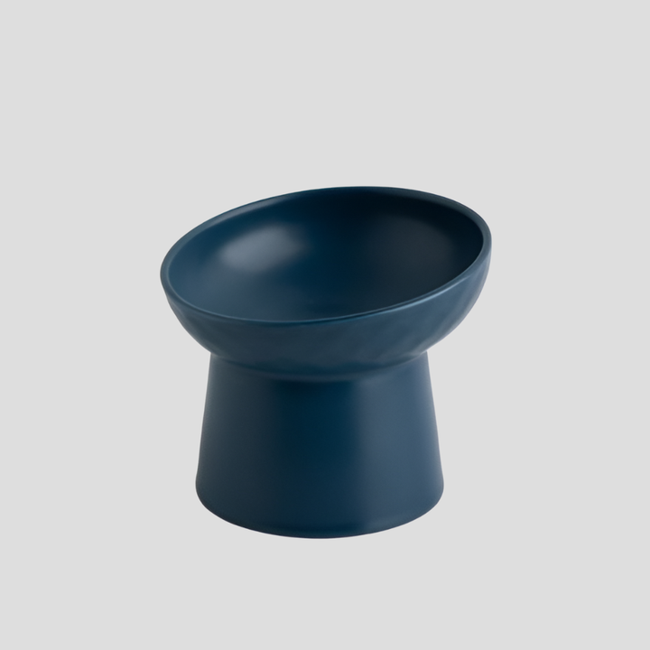 Stylish white tilted ceramic pet feeder, designed for cats to reduce neck strain while eating