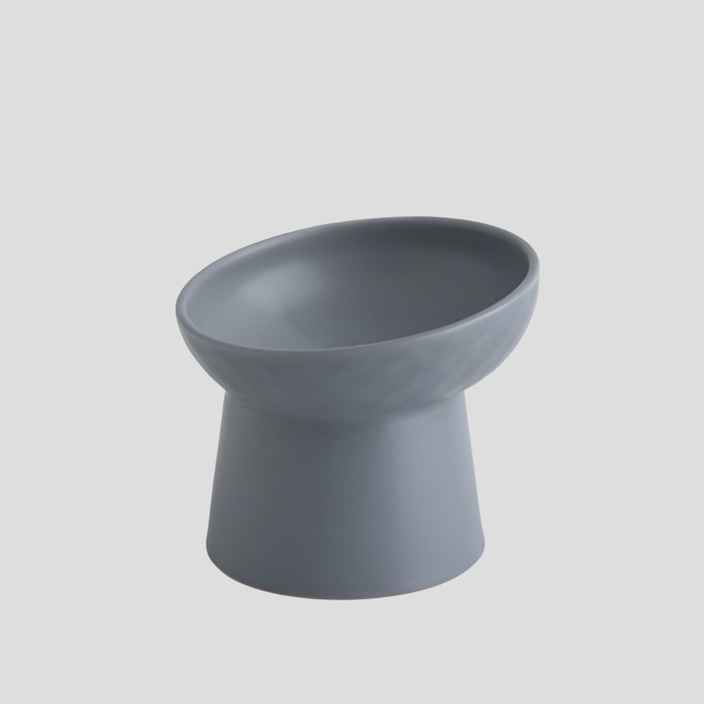 Empty ceramic tilted cat bowl, ready for healthy feeding, a modern pet accessory