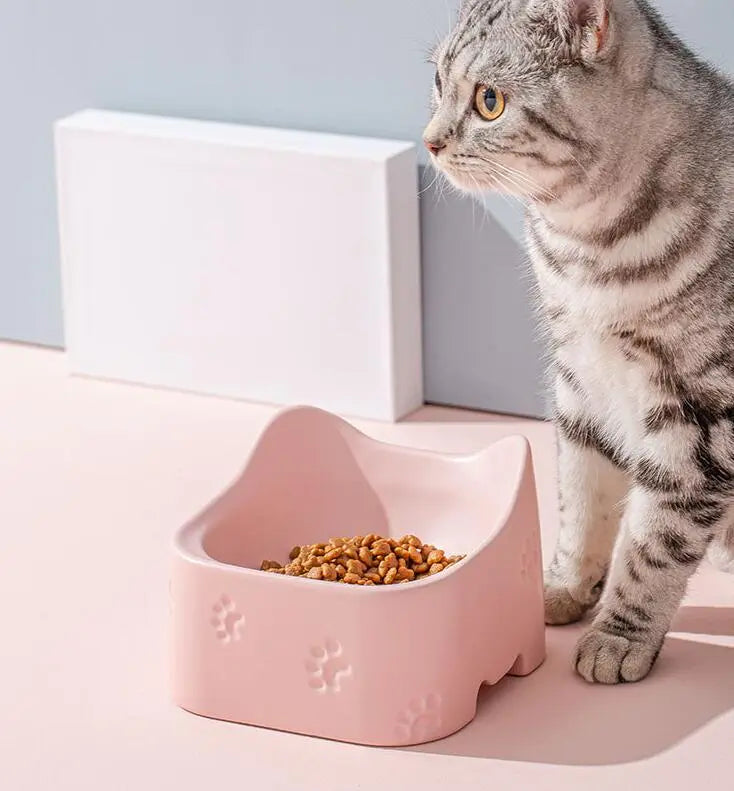 Close-up of a raised ceramic cat bowl designed to reduce neck strain in pets, pet supplies