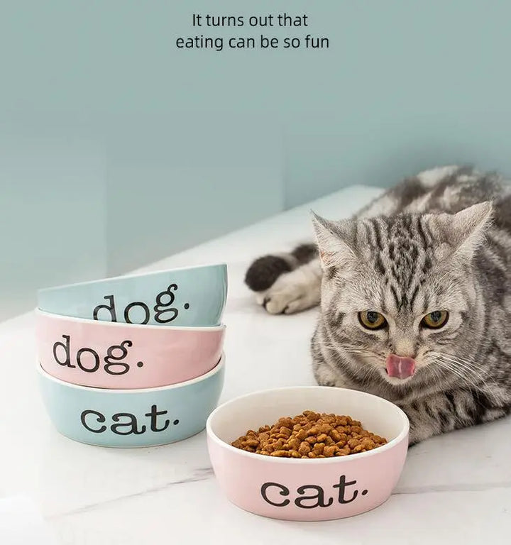 Modern raised pet feeding bowl for cats, showcasing its stable non-slip design and pet health benefits