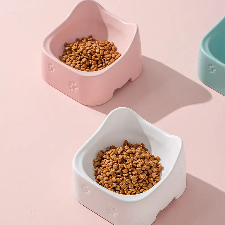 Stylish raised pet bowl in a home setting, providing an elevated and healthy eating solution for cats