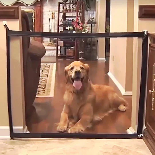 Pet safety gate in a doorway, showing its simple and effective barrier for dogs and cats