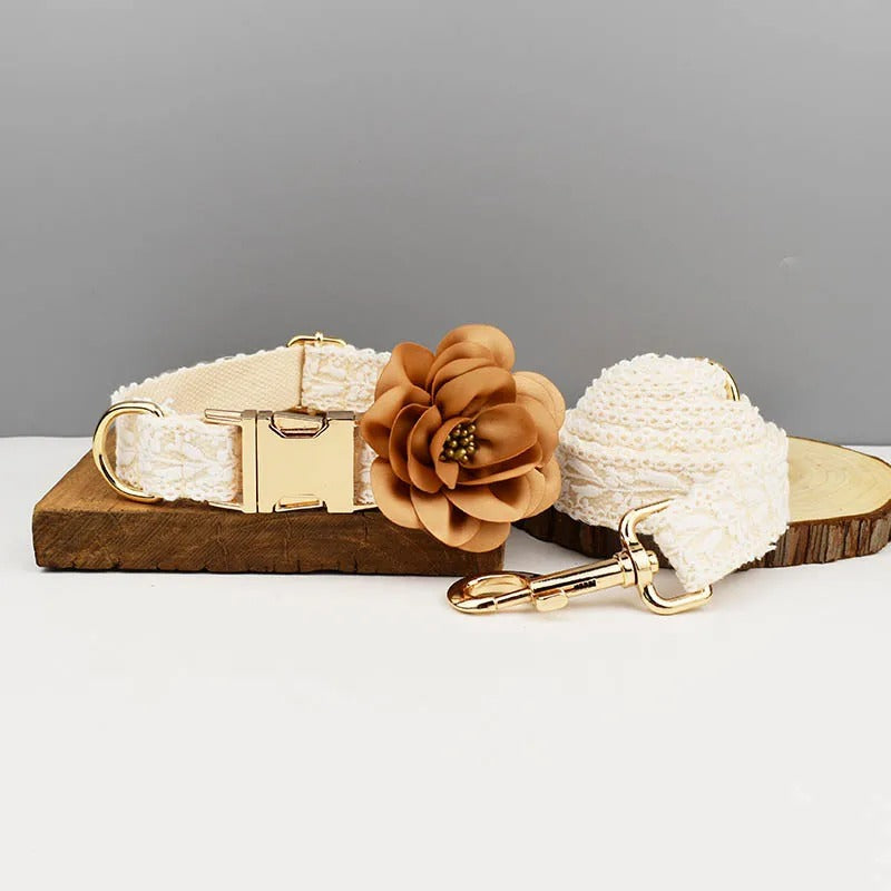 Durable pet fashion: white dog collar and leash set with a personalized, engraved ID tag for dogs.