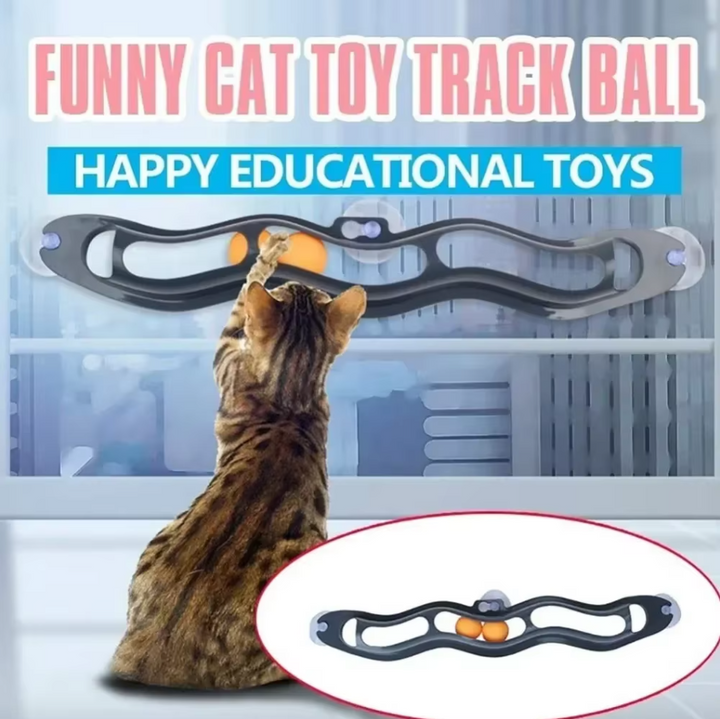Feline window-mounted ball track toy, clear suction cups, engaging pet supplies accessory
