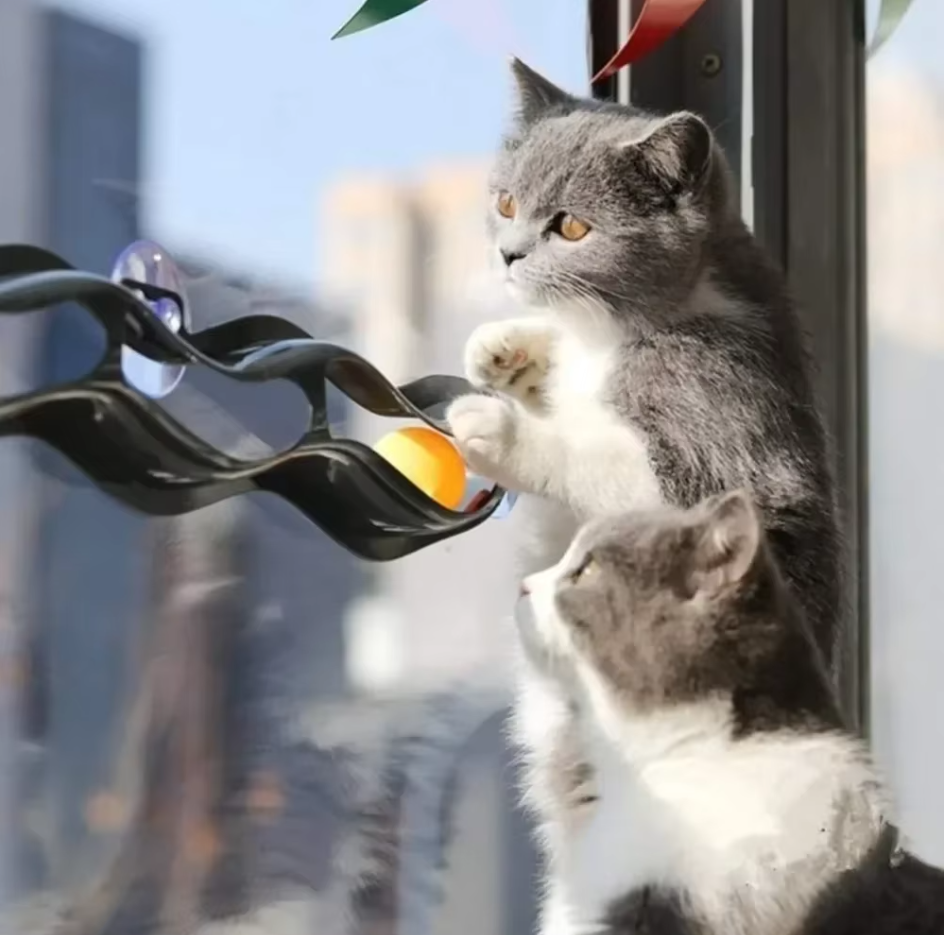 Cat window toy with rolling balls, stimulating track design for active and playful cats