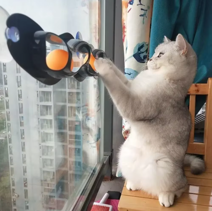 Multi-level cat ball track, adheres to window, provides endless interactive pet playtime