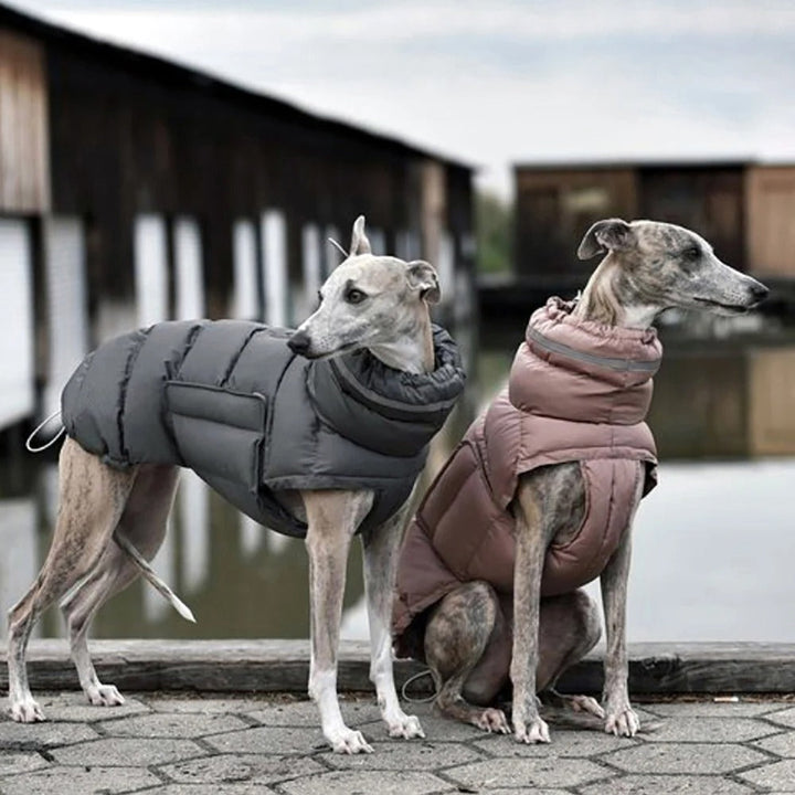 Winter insulated dog coat, reflective, water-repellent, for cold weather protection
