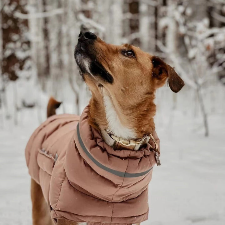 Durable winter dog vest, water-repellent outer layer, warm canine jacket for pets