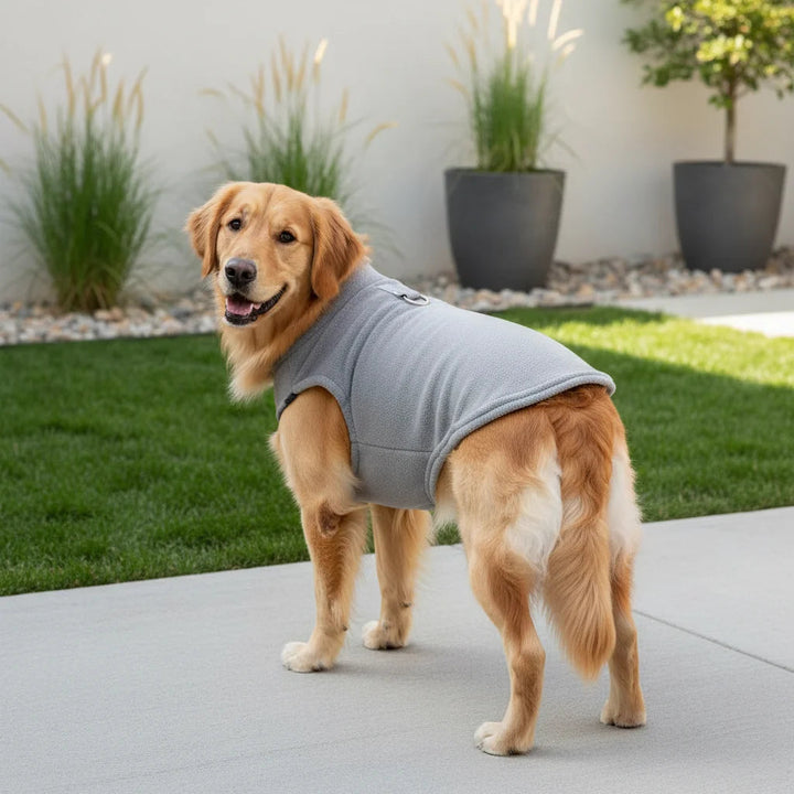 Small pet winter jacket, dog coat with integrated D-ring, warm for cold weather outdoor pet gear.