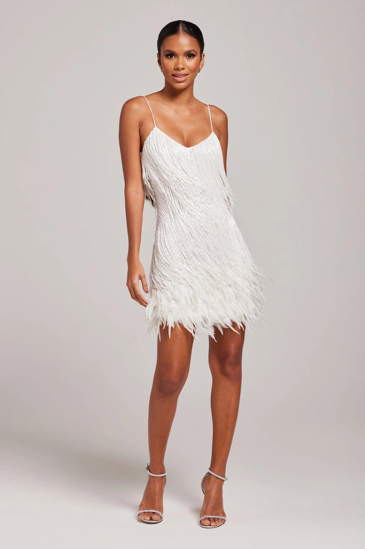 Sophisticated women's party dress, a short feather fringe formal gown for special occasions.
