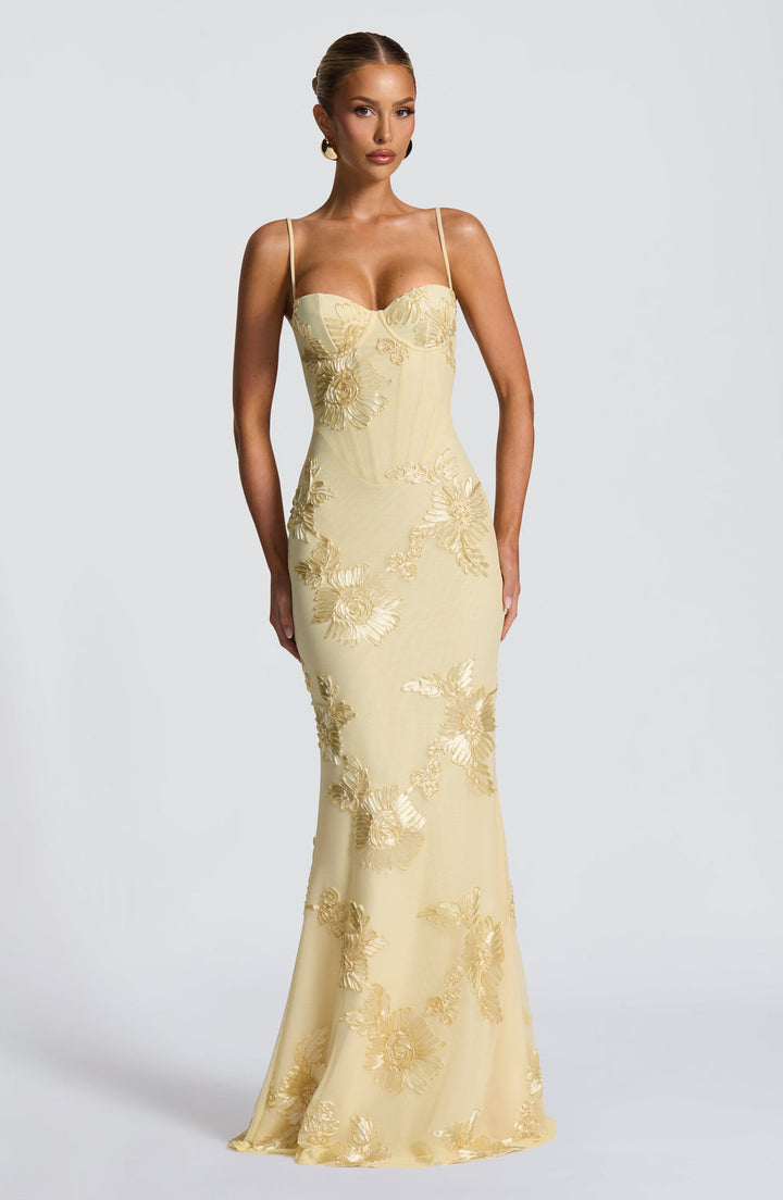 Women's elegant floral appliqué corset mermaid maxi dress. Perfect formal evening gown for special occasions.