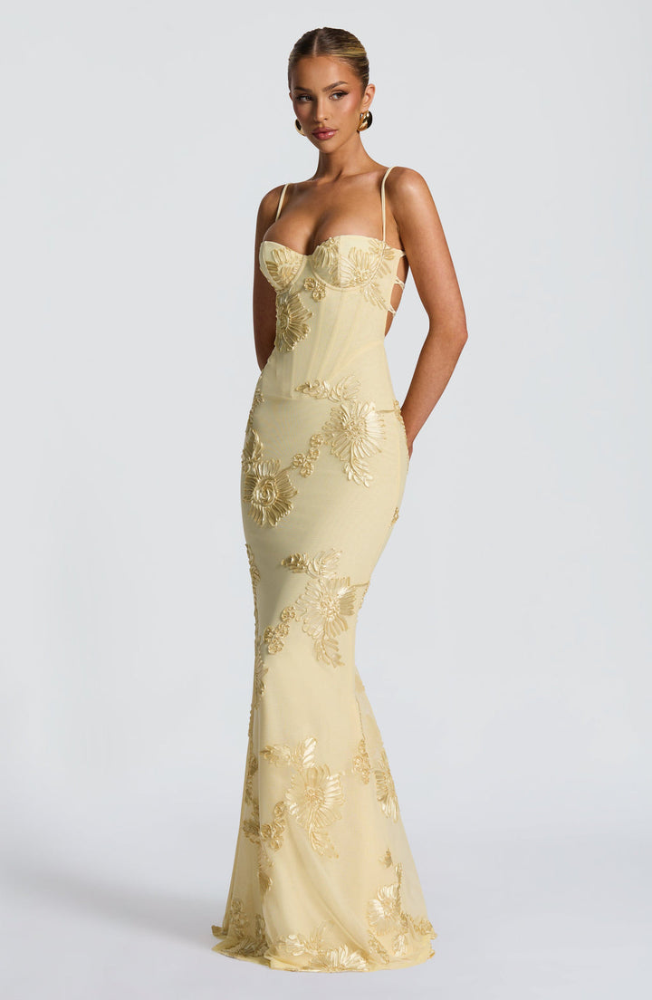 Back view of a women's formal evening gown: floral appliqué corset mermaid maxi dress with elegant train.