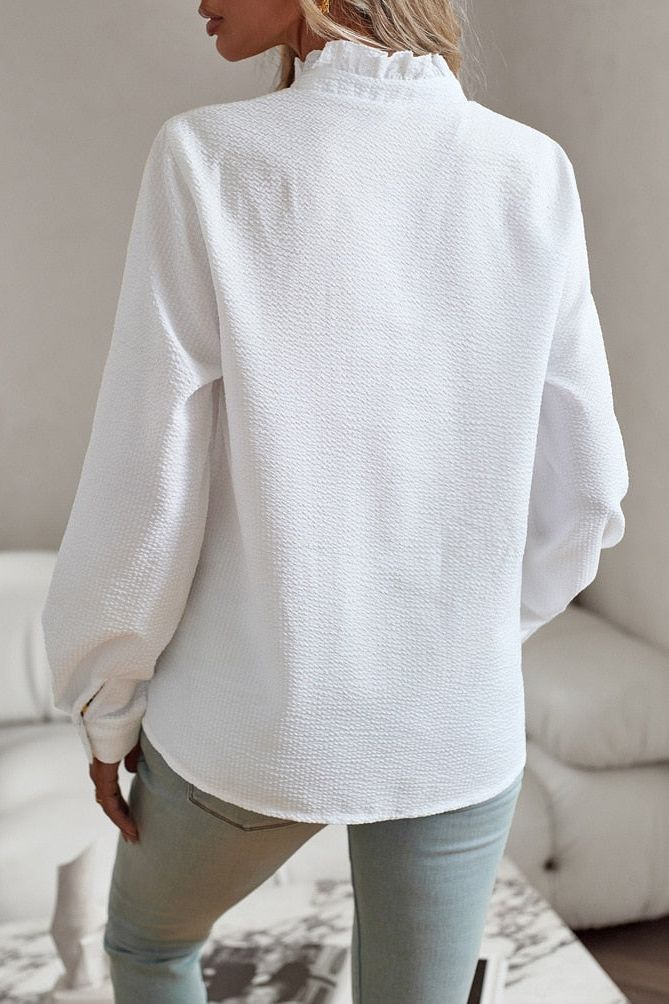 Classic elegant women's longsleeve blouse, a polished top for sophisticated work attire or daily wear.