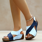 Blue & White