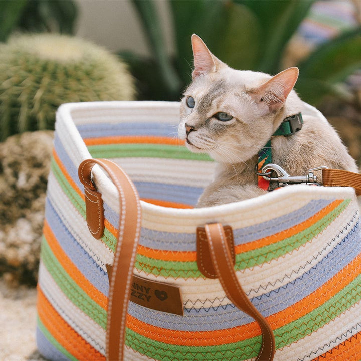 Close-up of the durable handles on the lightweight cotton woven pet carrier beach bag, eco-friendly design.